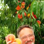 Profile Picture of Greg Freerksen (@greg.freerksen) on Facebook