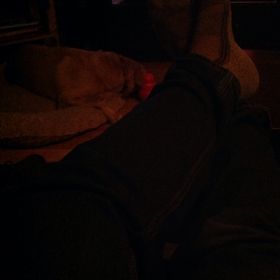 Profile Picture of Jonathan Hart (@tdbearclaw) on Pinterest