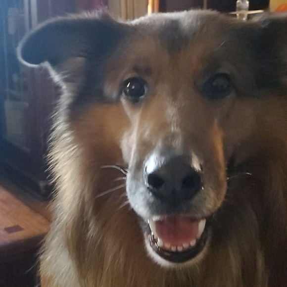 Profile Picture of Tonya Distad (@tonyakay28) on Poshmark