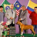 Profile Picture of André Canil Far West Lake (@andrelsj09) on Instagram