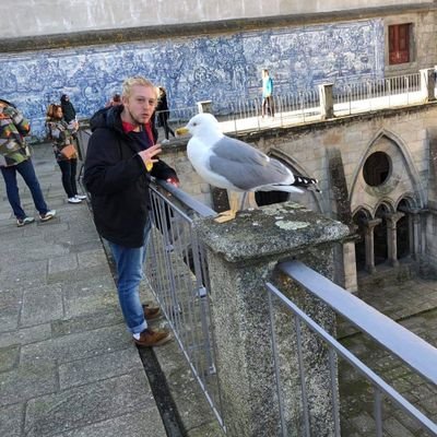 Profile Picture of Sam Kearns (@SamKearns11) on Twitter