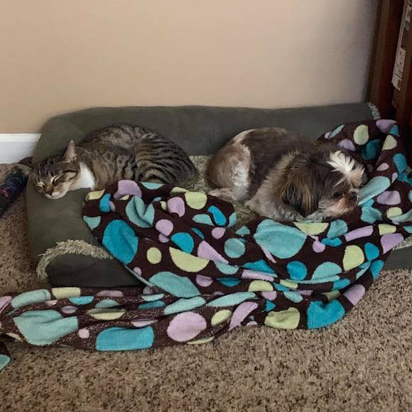 Susan Bogusch - Poshmark Profile Picture of Susan Bogusch (@sabtosexy) on Poshmark