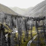 Profile Picture of Jack Barron (@j_barron_) on Instagram