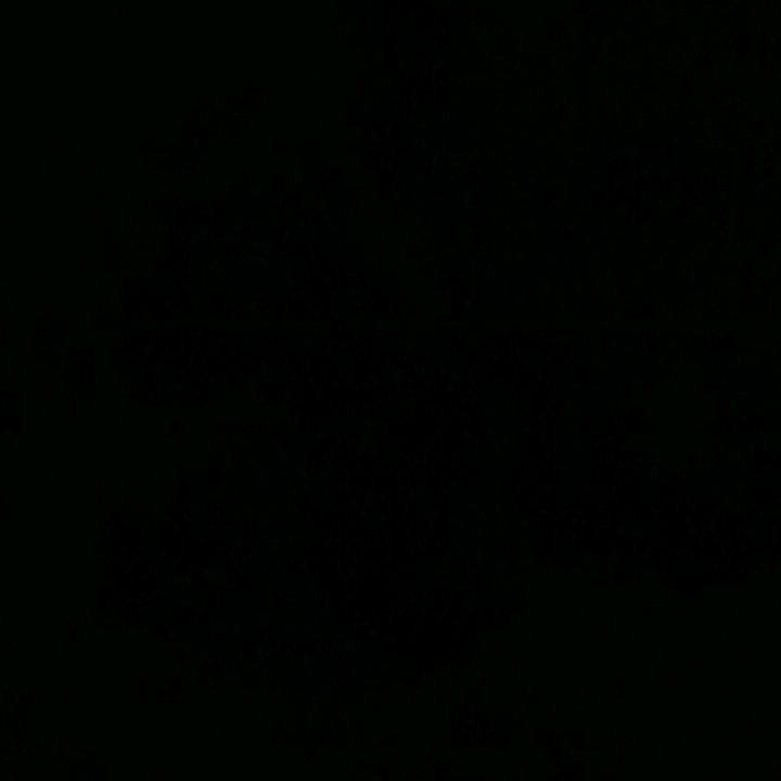 Profile Picture of Thomas Larkin (@thomas_larkin) on Tiktok