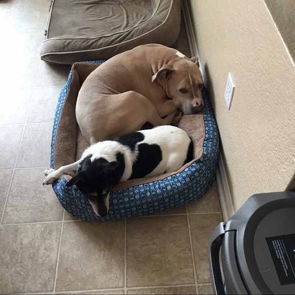 Profile Picture of Mayuko Fieweger (@mfieweger) on Poshmark