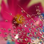 Profile Picture of alexanderarrington (@alexanderarrington) on Instagram