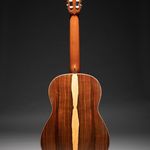 Profile Picture of Steven Walter (@stevenwalterguitars) on Instagram