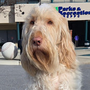 Profile Picture of Beth Schwartz (@bethschwartz6378) on Youtube