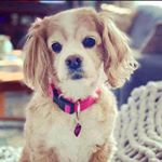 Profile Picture of Perter John (@perter.john) on Instagram