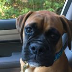 Profile Picture of Jacquelyn Trudeua (@jacquelynwagwalker) on Instagram