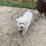 Profile Picture of James Gerlock (@gerlockj) on Facebook