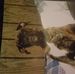 Profile Picture of David Colbert (@david.colbert.94801) on Facebook