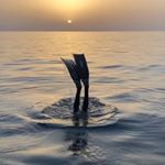 Profile Picture of David Toribio Delgado (@david_toribio_fcb) on Instagram