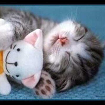 Profile Picture of Tamara Valerio A. (@tamaravalerioA) on Twitter