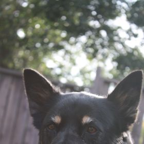 Crystal Labrie - Pinterest Profile Picture of Crystal Labrie (@clabrie) on Pinterest