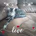 Profile Picture of Ann Mcgonigal (@ann.mcgonigal) on Facebook