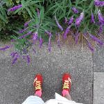 Profile Picture of william stirling Etheridge (@williamstirlingetheridge) on Instagram