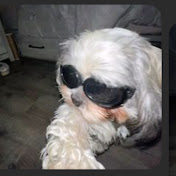 Profile Picture of Daniel Daza (@thatoneguyv1nse105) on Youtube