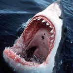 Profile Picture of Christopher Frueauf (@christopher.frueauf) on Facebook