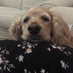 Profile Picture of michael_munsch (@michael_munsch) on Instagram