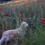 Profile Picture of Jessica Probst (@jessicaprobst0807) on Instagram