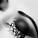 Profile Picture of Simone Harrison (@simone38) on Pinterest