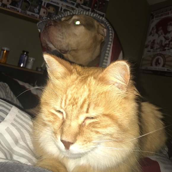 Profile Picture of Kayla Argraves (@stopkayla) on Poshmark