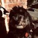 Profile Picture of Lilli Durston (@lillian_durston) on Pinterest