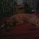 Michelle Zerber - Instagram Profile Picture of Michelle Zerber (@zerbermichelle) on Instagram