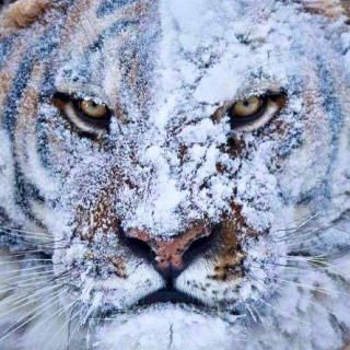 Profile Picture of Edson Cruz (@AaronCruzT) on Twitter