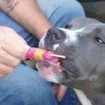 Profile Picture of Jerry Malack (@jerrymalack) on Instagram