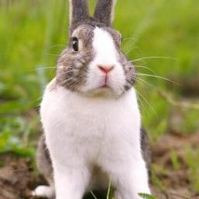 Knase - Twitter Profile Picture of Knase (@knase77) on Twitter