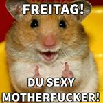 Profile Picture of Patrick Hauke (@habe_viele_sogenannte_freunde) on Instagram