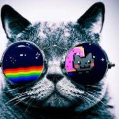 Profile Picture of Carlos Lazos (@carlos090304) on Twitter