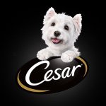 Profile Picture of Cesar Canine Cuisine (@cesarcuisine) on Instagram