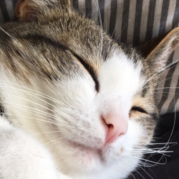 Profile Picture of Estelle Poderoso (@estelleeee) on Poshmark