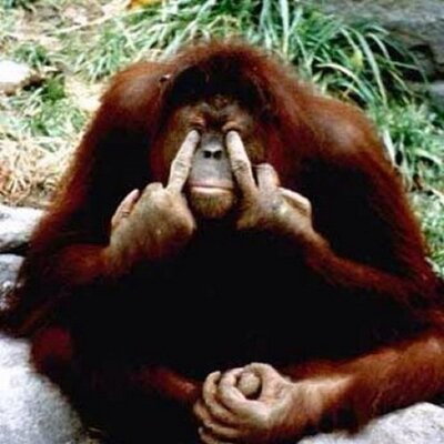 Profile Picture of Bob Butcher (@bobbutcher247) on Twitter