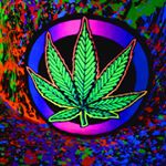 Justin Ward - Instagram Profile Picture of Justin Ward (@justin._.boi._.no._.love) on Instagram