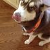 Profile Picture of Helen Greco (@Helen-Greco) on Facebook