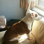 Profile Picture of Anne van Steen (@vansteenanne) on Instagram