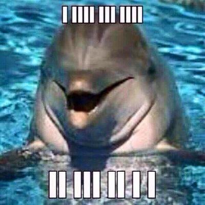 Profile Picture of Martha Imelda Chávez Miranda (@MMartha3146) on Twitter