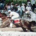 Profile Picture of Bernardo Fragoso (@berfrava) on Instagram