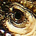 Profile Picture of William Richardson (@54buck) on Flickr