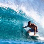 Profile Picture of David Angel Castro (@davidarchy) on Instagram