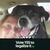 Profile Picture of Marsha Smith Halstead (@marsha.s.halstead) on Facebook