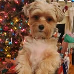 Profile Picture of Stephanie Pawlowski (@stephanie.pawlowski.9) on Facebook