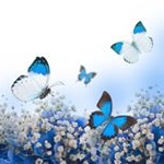 Profile Picture of Pamela Hacker (@shiningstarintn) on Instagram