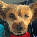 Profile Picture of John Roros (@roros4614) on Instagram