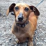 Profile Picture of Nicholas Stead (@ncstead) on Instagram