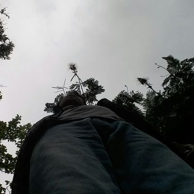 Profile Picture of Daniel Krisna S (@Niel_Nill) on Twitter